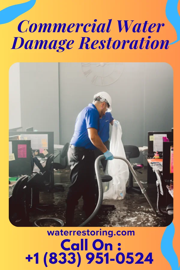 Commercial Water Damage Restoration in Milford, DE