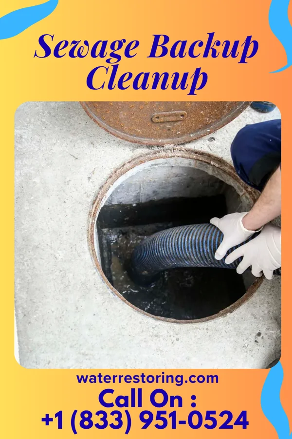Sewage Backup Cleanup in Milford, DE